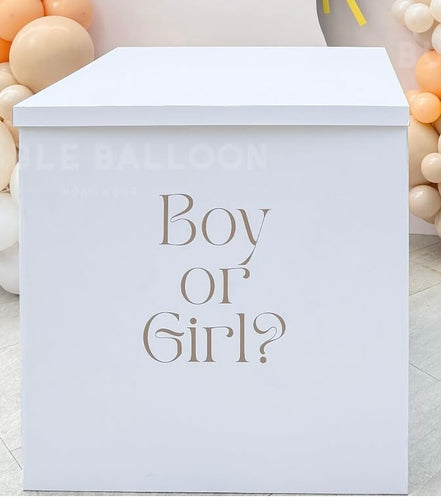 Gender Reveal 大盒子
